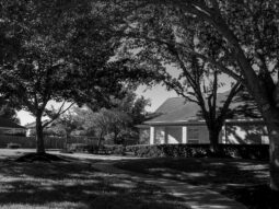 Black white photo of a suburban neighborhood with trees